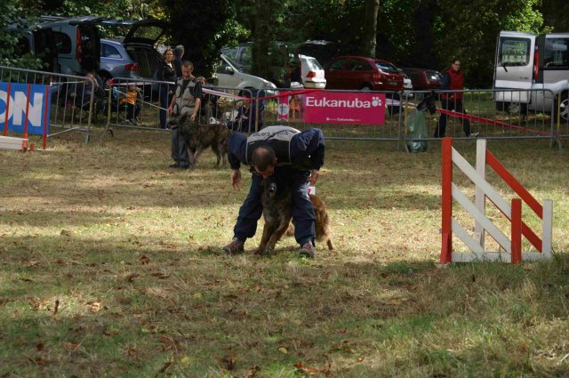 foire-haricots 2011-09-17et18